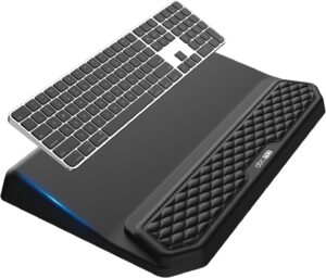 2-in-1 Ergonomic Keyboard Stand wit...