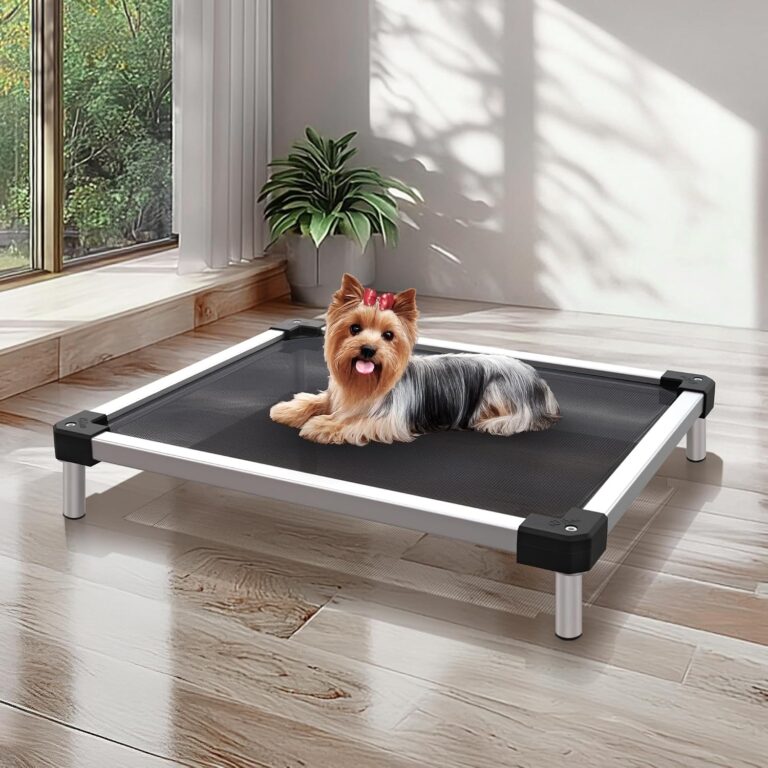 Pet Beds & Furniture
