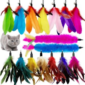 Cat Feather Toys Refill, 16 Pieces ...