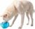 Outward Hound Snoop Interactive Treat Dispensing Dog Toy, Blue, 5″